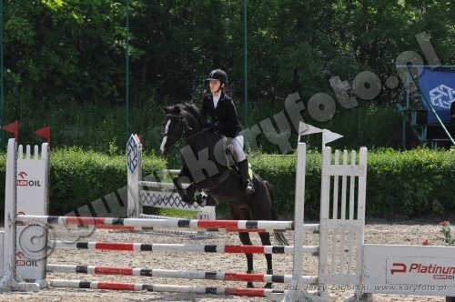 sl2013-06-0212-15-00