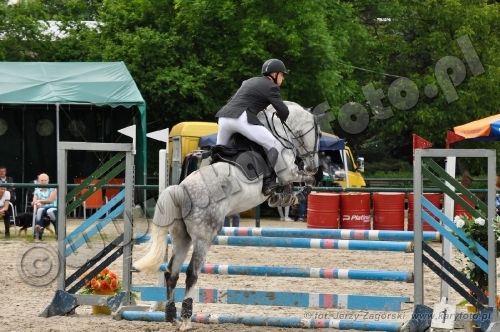 sl2013-06-0215-08-41